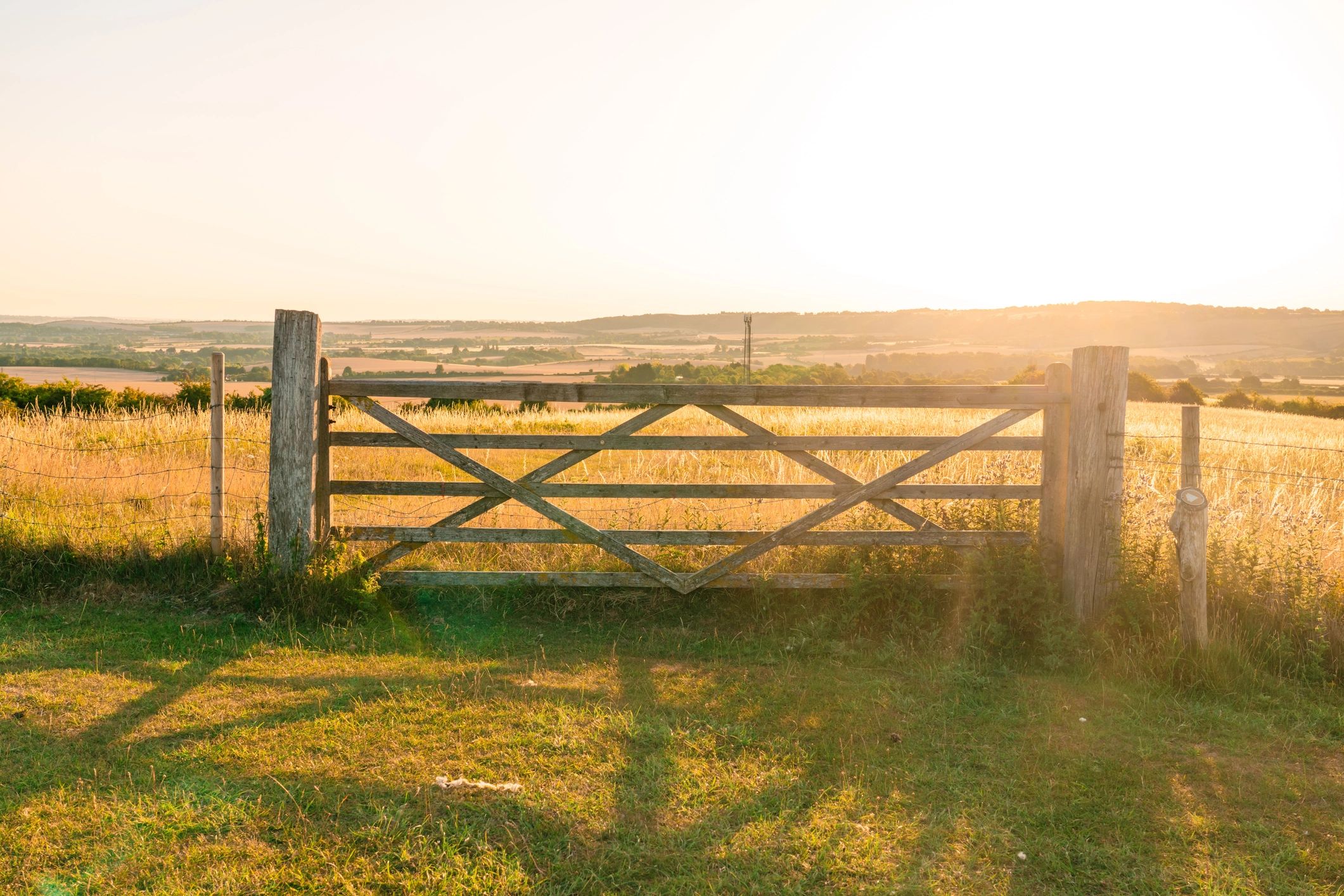 Fence project consultation and installation planning